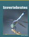 Invertebrates - 9798875313646 by Lisa J. Amstutz, 9798875313646