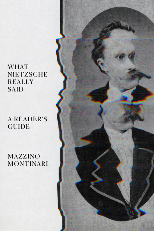 What Nietzsche Really Said (A Reader's Guide) by Mazzino Montinari, Peter J. Schwartz, 9781804295014