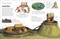 Eyewitness Castle by DK, 9798217304783