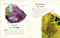 An Anthology of Gems (A Collection of Gemstones from Buried Treasures to Glittering Jewels) by Anthea Lacchia, 9798217310609