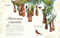 Children's Anthologies Collection: Earth, Sea and Sky by DK, 9798217308682