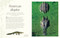 Children's Anthologies Collection: Earth, Sea and Sky by DK, 9798217308682