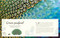 Children's Anthologies Collection: Earth, Sea and Sky by DK, 9798217308682