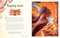Children's Anthologies Collection: Earth, Sea and Sky by DK, 9798217308682