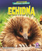 Echidna - 9798902011590 by Jenna Grodzicki
