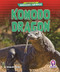 Komodo Dragon - 9798902011606 by Jenna Grodzicki, 9798902011606