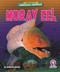 Moray Eel - 9798902011613 by Jenna Grodzicki