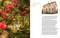 Old Town Style (Inside Alexandria's Most Beautiful Historic Homes) by Robert F. Weinhagen, 9789058567543