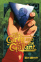 The Grey and the Gallant (An Original Graphic Novel) by Ryan Maniulit, 9781419766190