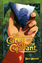 The Grey and the Gallant (An Original Graphic Novel) - 9781419766206 by Ryan Maniulit, 9781419766206