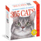 365 Cats Page-A-Day® Calendar 2027 (The World's Favorite Cat Calendar) by Workman Calendars, 9781523533312