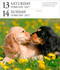 Dog Page-A-Day® Gallery Calendar 2027 (An Elegant Canine Celebration) by Workman Calendars, 9781523533336