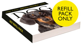 Dog Page-A-Day® Gallery Calendar Refill Pack 2027 (An Elegant Canine Celebration) by Workman Calendars, 9781523534593