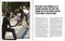 True World Skate (The Culture of Indie Skateboarding) by Suridh Hassan, Ryo Sanada, 9780262057752