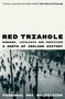 Red Triangle (Workers, Loyalists and Partition  A North of Ireland History) by Fearghal Mac Bhloscaidh, 9781836741879