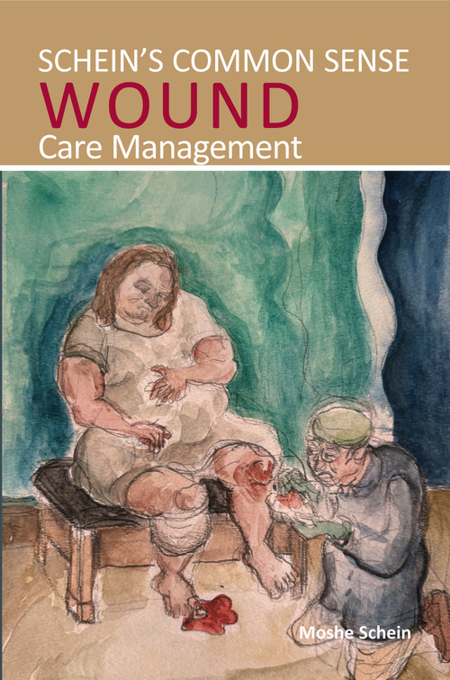 Schein's Common Sense Wound Care Management by Moshe Schein, 9781913755737