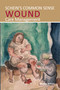 Schein's Common Sense Wound Care Management by Moshe Schein, 9781913755737