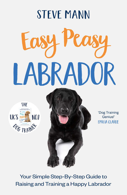 Easy Peasy Labrador by Steve Mann, 9781788706827