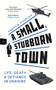 A Small, Stubborn Town by Andrew Harding, 9781804183793