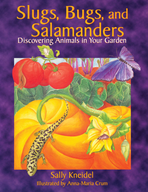 Slugs, Bugs, and Salamanders (Discovering Animals in Your Garden) by Sally Kneidel, 9781555913137