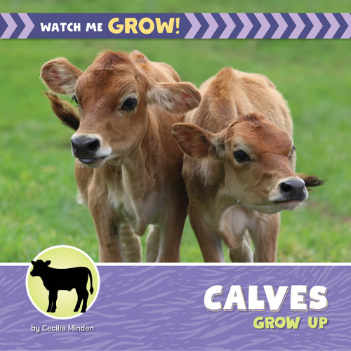 Calves Grow Up by Cecilia Minden, 9781668980156