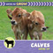 Calves Grow Up by Cecilia Minden, 9781668980156