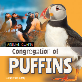 Congregation of Puffins by Alex Berry, 9781668980330