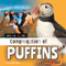 Congregation of Puffins by Alex Berry, 9781668980330