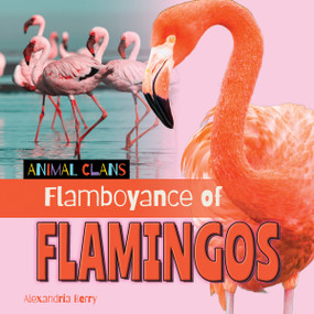 Flamboyance of Flamingos by Alexandria Berry, 9781668980347