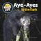 Aye-Ayes in the Dark by Joyce Markovics, 9781668980279