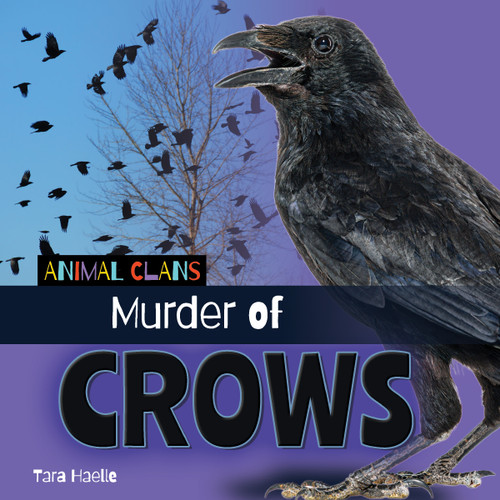 Murder of Crows by Tara Haelle, 9781668981627
