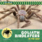 Goliath Birdeaters in the Wild by Meeg Pincus, 9781668981405
