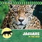 Jaguars in the Wild by Meeg Pincus, 9781668981337