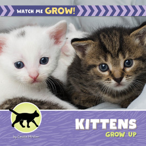 Kittens Grow Up by Cecilia Minden, 9781668981443