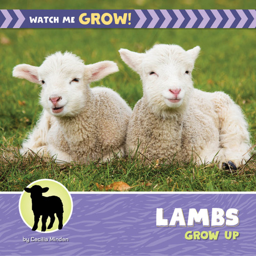 Lambs Grow Up by Cecilia Minden, 9781668981450
