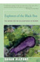 Explorers of the Black Box (The Search for the Cellular Basis of Memory) by Susan Allport, 9781504034203