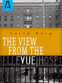 The View from the Vue by Larry Karp, 9781504036139
