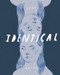 Identical by Leah Hayes, 9798875001680