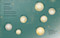 Rise & Align (Your Weekly Guide to Channelling the Power of the Planets) by Clarisse Monahan, 9780241816073