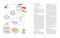 Breaducation (The Science and Practice of Baking Bread at Home) by Andrew Janjigian, 9781984862969