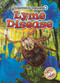 Lyme Disease by Rebecca Pettiford, 9798898800659