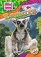 Lemurs by Janie Scheffer, 9798898800413