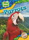 Parrots by Janie Scheffer, 9798898800420