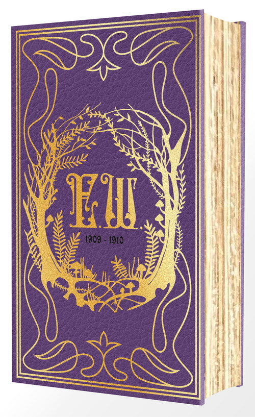 Emily Wilde's Encyclopaedia of Faeries (Deluxe Edition) by Heather Fawcett, 9798217301546