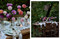 French Country Cottage Seasons (A Year of Decorating and Entertaining Ideas) by Courtney Allison, Courtney Allison, 9781423662617