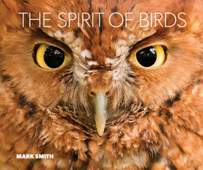 The Spirit of Birds by Mark Smith, 9781423669876