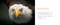The Spirit of Birds by Mark Smith, 9781423669876