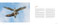 The Spirit of Birds by Mark Smith, 9781423669876