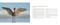 The Spirit of Birds by Mark Smith, 9781423669876