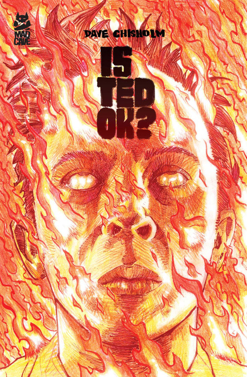 Is Ted OK? by Dave Chisholm, 9781545829981